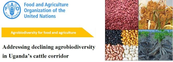 FAO- Technical Brief